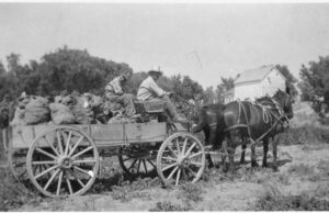 An Entirely Truthful Revision of Shreveport History