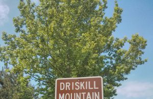 Mt. Driskill: Climb the Highest Point in Louisiana!