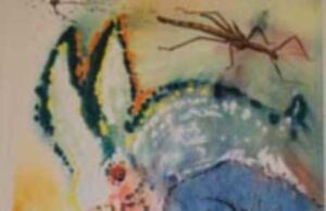 Alices Adventures in Wonderland illustrated by Salvador Dali at RW Norton Art Gallery on Sats and Suns, 1 to 5 pm