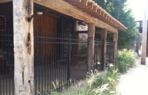 Agora Borealis: New downtown gallery to offer services for artists, public