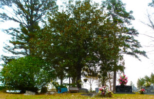 High-pitched voices and tightly-strung guitars to celebrate Leadbelly