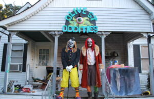 OLIVE STREET ODDITIES: A HIGHLAND NEIGHBORHOOD TREAT