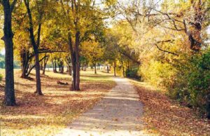 What the If, Shreveport: Greenways