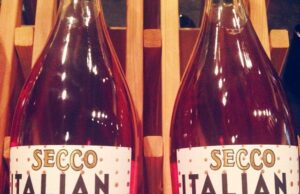 Girls with Glasses: Thanksgiving Advice for All