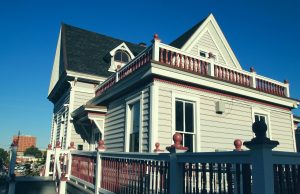 Common Interests: Opportunities to Give This Season