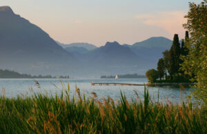 Find out why this headphone is superb