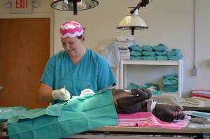 Dr. Master-Everson preparing to do a spay surgery