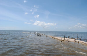 Is the Louisiana coastal morass fixable? Ardent environmentalist Brian Salvatore speaks at 1st Presbyterian 6 pm, Wed, April 29