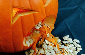 Heliopolis HalloWeekend Warrior: Things To Do October 30-31, 2015