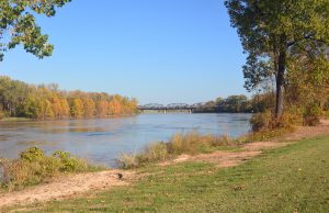 Stray Dogs by The Highway
