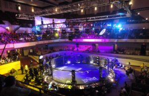 MMA: A Different Kind of Art for Your Weekend