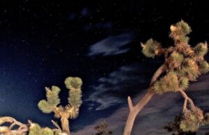 Experimental Filmmaker Kate McCabe at minicine on Saturday, April 23