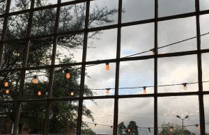 Art at Rhino: Matthew Barkley and Camille Waterfallen