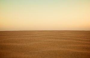 Living in the Downtown Shreveport Food Desert