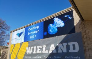 Professional and Artistic Local Talent Swimming in Shreveport Aquarium