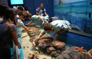 Shreveport Aquarium: An Interview with Planet Aqua Group’s Jon Whitehead