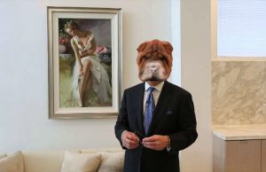 Shreveport Dog Modeling Agency Shames Community Pets on Social Media